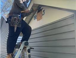 Best Siding Painting and Refinishing  in Ford Heights, IL